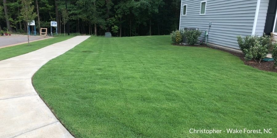 green lawn outside house