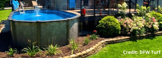 pool_landscaping_DWF_turf_900x450_555_x_201_px.webp