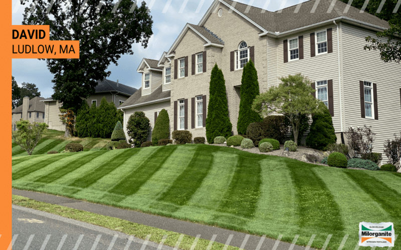 Before-and-after Milorganite picture Picture of Milorganite's ability to create healthy green grass.