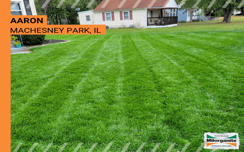 Green Landscape Beautiful green and healthy landscape thanks to Milorganite fertilizer.