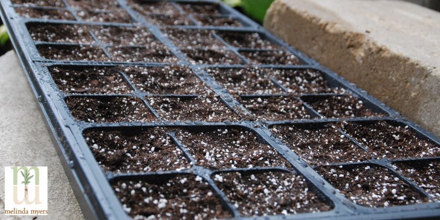 flats of indoor seeds