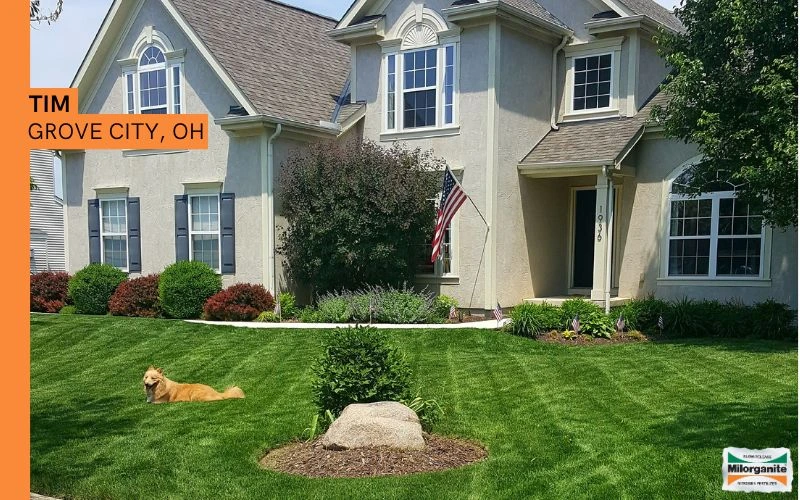 Vibrant green lawn Vibrant and green lawn in Ohio, fertilized with Milorganite.