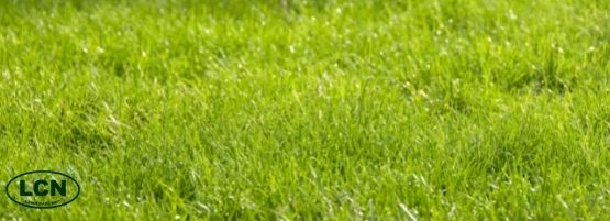 LCN_Milorganite_Starter_Fertilizer_Thumbnail_555x201-min.jpg