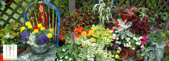 container_garden_thumbnail_555_x_201_px.webp