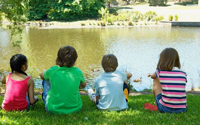 four young kids sitting on a lawn feeding ducks by the water