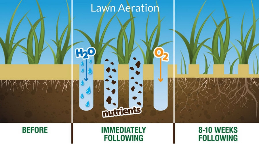 The results of aerating your lawn