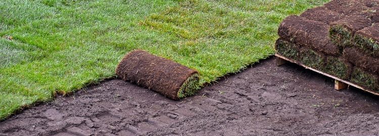 sod getting rolled out from a pallet