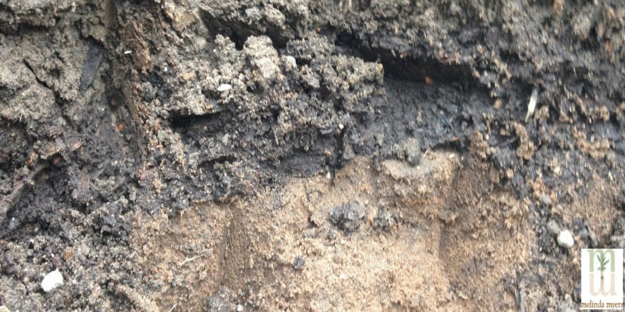 Layers of soil