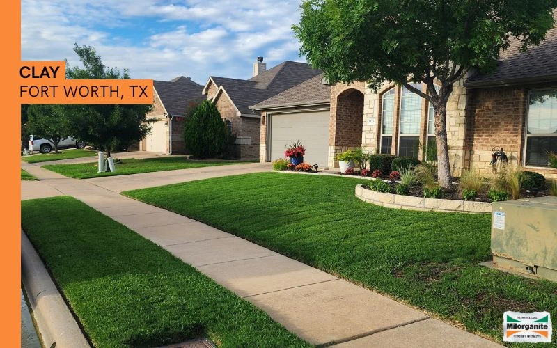 Green Fertilized Lawn Healthy green lawn in Texas that is fertilized with Milorganite.