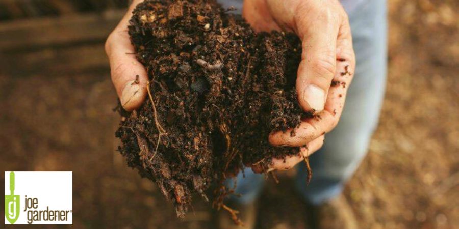 hand holding soil