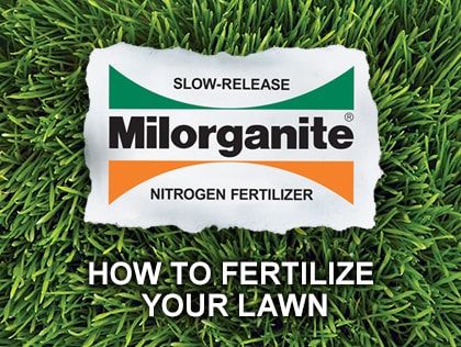How to fertilize your lawn with Milorganite.