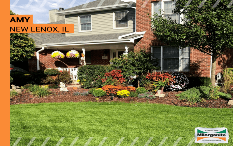 Vibrant green lawn Vibrant, green lawn in Ohio fertilized with Milorganite.