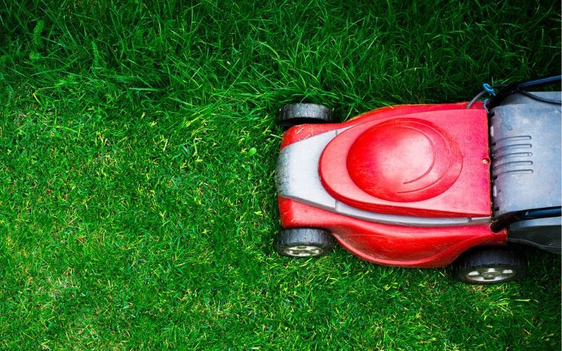 red lawn mower mowing grass