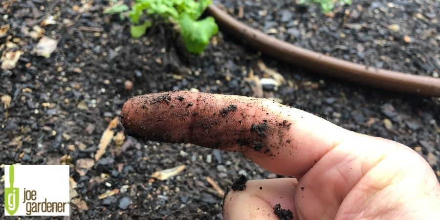 finger covered in dirt in garden
