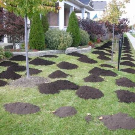 compost topdressing on top of green grass