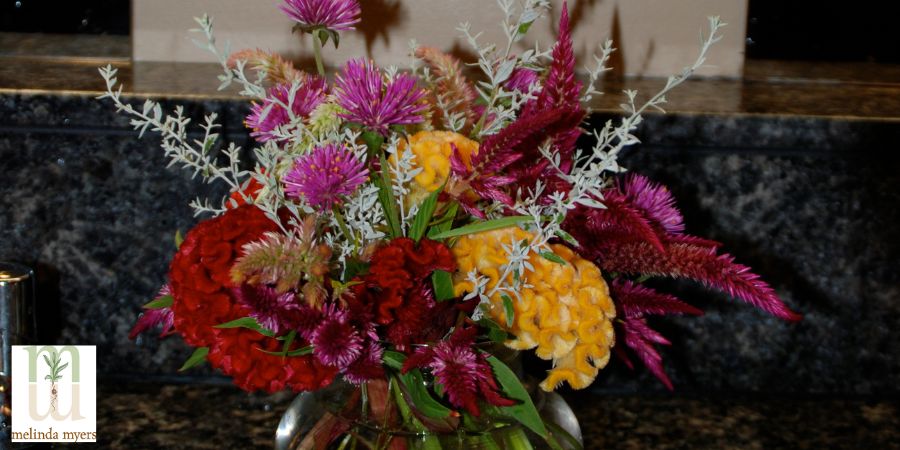 Bouquet of Celosia, Artemisia and Globe Amarath