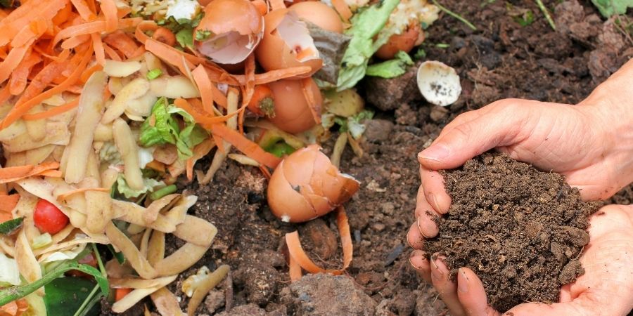 hands in a compost bin