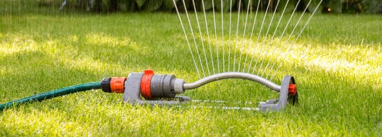 Sprinkler watering the lawn