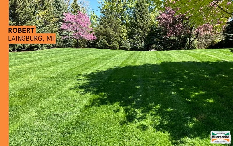 Green lawn Green lawn fertilized with Milorganite .