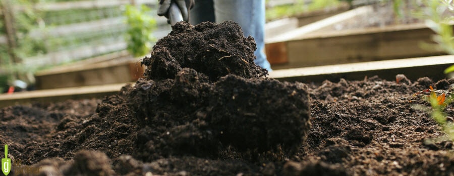 Amending soil in garden bed