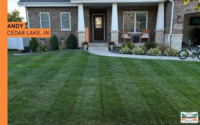 Green front lawn Front lawn fertilized with Milorganite for a healthy green look.