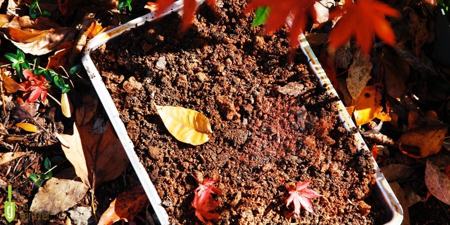 Soil and leaves