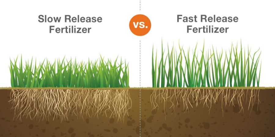 slow release vs fast release fertilizer.jpg