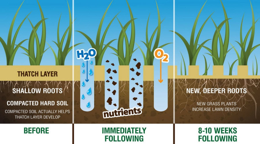 Lawn aeration process before, nutrients and deeper roots in 8-10 weeks