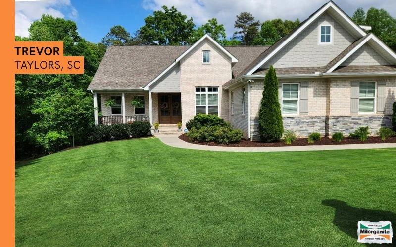 Green front lawn Lush green grass fertilized with Milorganite in SC..