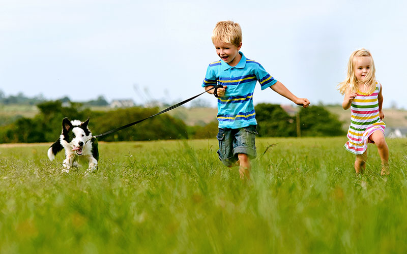 kids running through green grass