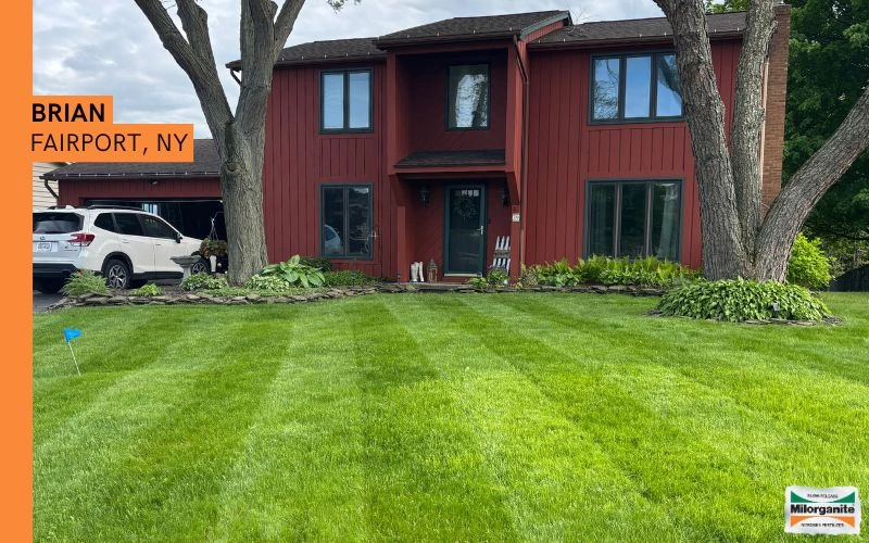 Green and lush lawn. Lawn in New York fertilized with Milorganite, an organic fertilizer.