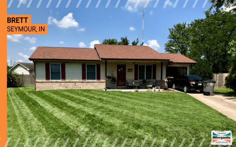 Green front lawn Front lawn fertilized with Milorganite for a healthy green look.