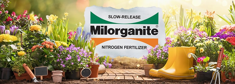 milorganite bag on green grass