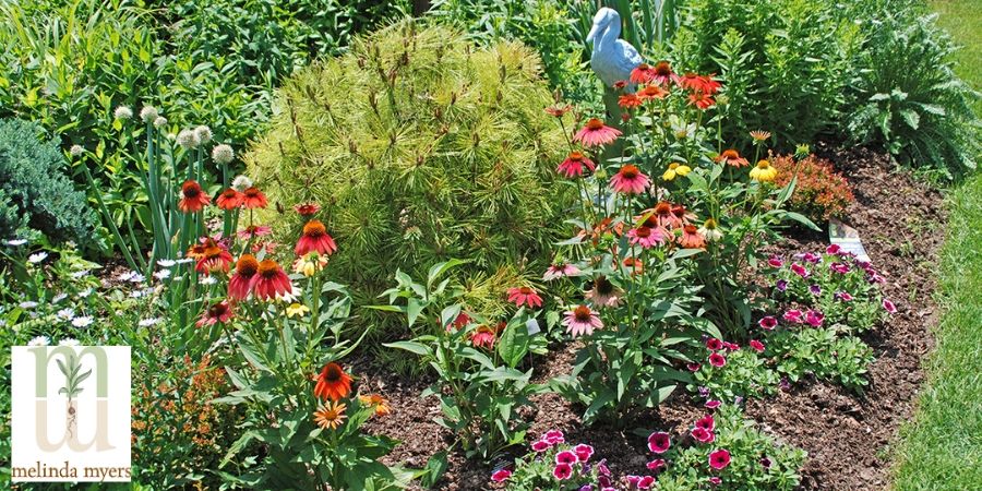 rain garden and bird bath