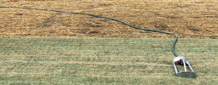 watering a new lawn with sprinkler