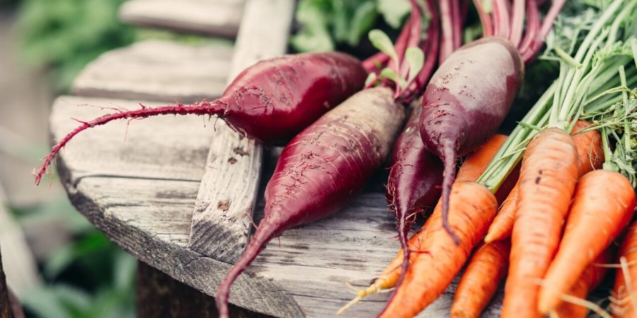 carrots and beets on a table