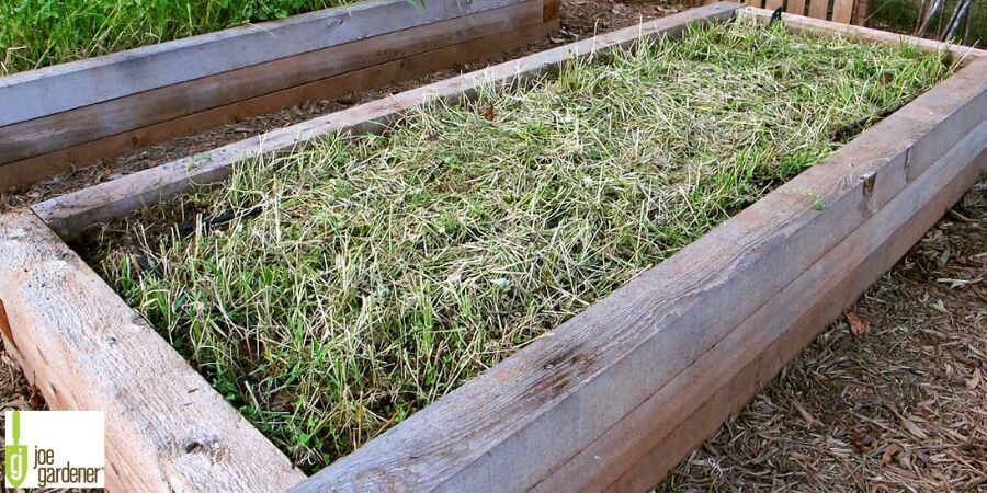 raised bed garden