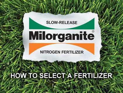 How to Select a Fertilizer - Organic vs. Synthetic