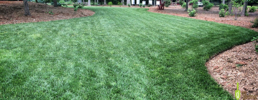 lush green lawn and landscape