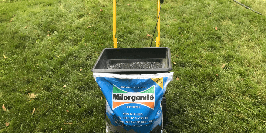 Milorganite fertilizer and grass seed in a spreader on the lawn.