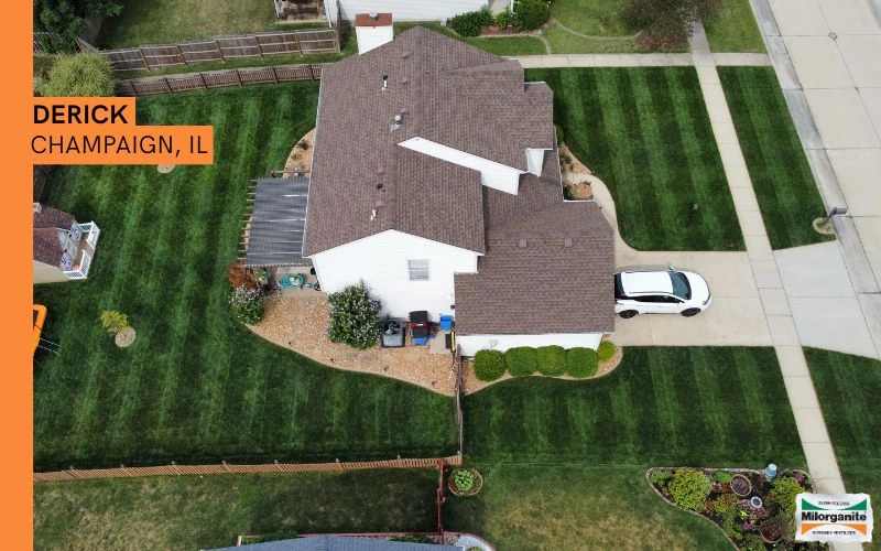 Green yard Green and healthy lawn in Illinois fertilized with Milorganite fertilizer.