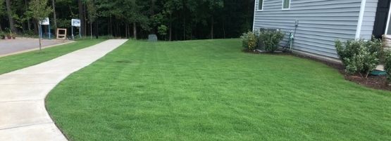 Fall_Beginner_Lawn_Care_Thumnbail_555x201-min_1.jpg