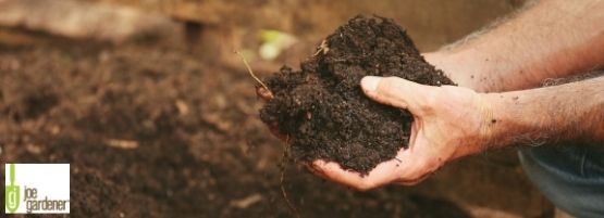 Soil_101_Hands_in_Soil_thumbnail_555x201_-min.jpg