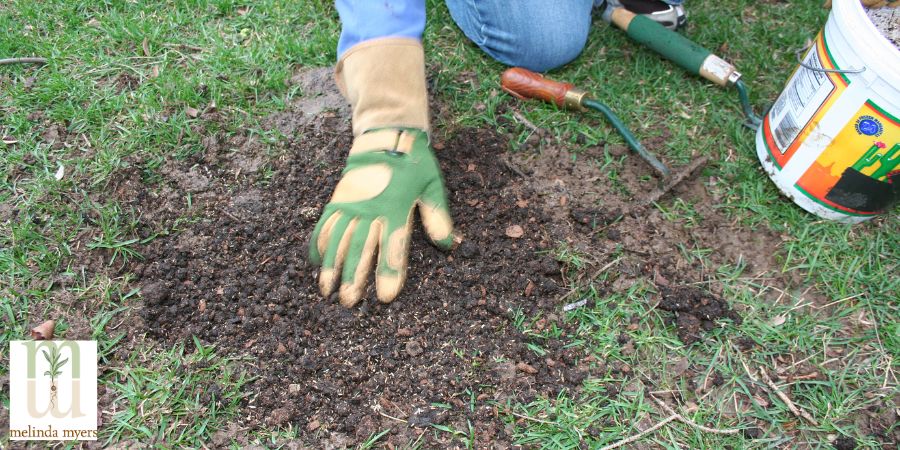 fixing a bare patch in the lawn