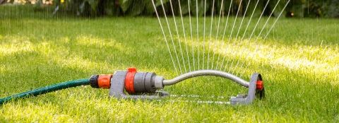 Sprinkler watering the lawn