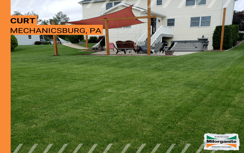Green backyard lawn Lush green grass fertilized with Milorganite in Minnesota..