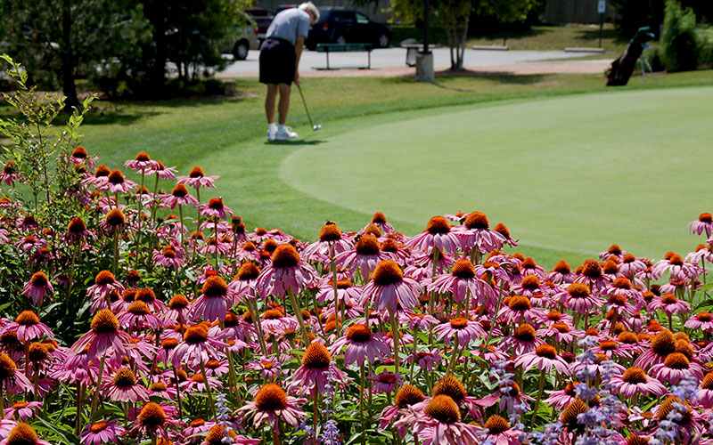 uses of milorganite on golf course and flowers