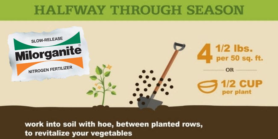 Milorganite fertilizing veggies graphic