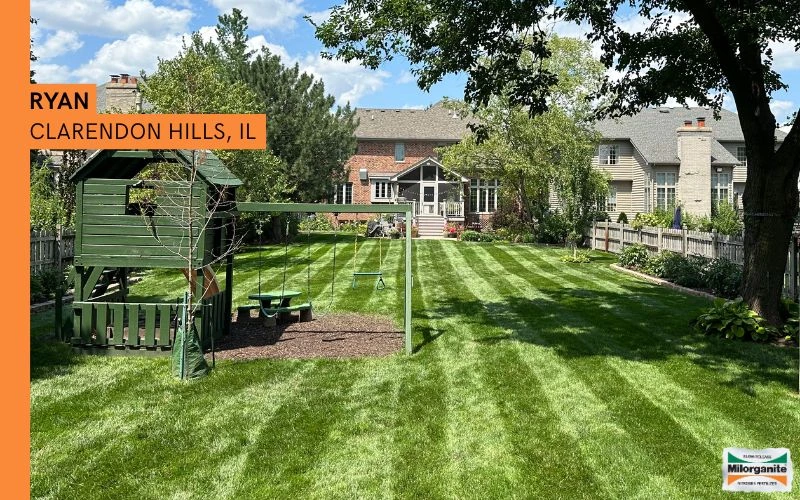 Green lawn A nice green lawn after having followed Milorganite's reccomended fertilization schedule.