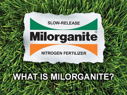 What is Milorganite